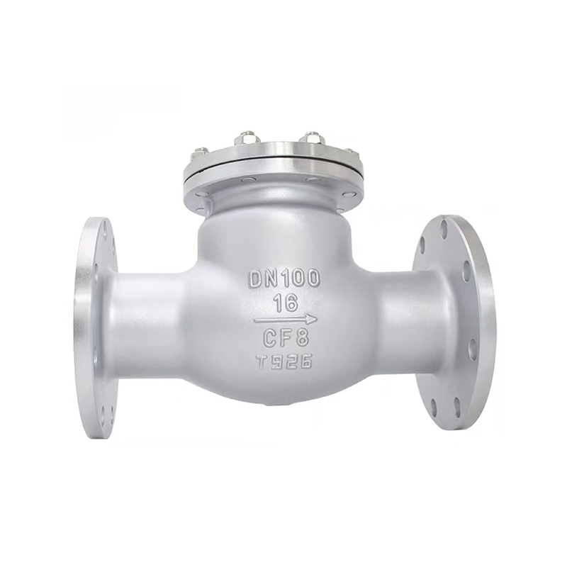 Rustfritt stål Swing Check Valve